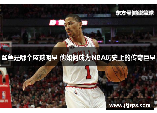 鲨鱼是哪个篮球明星 他如何成为NBA历史上的传奇巨星